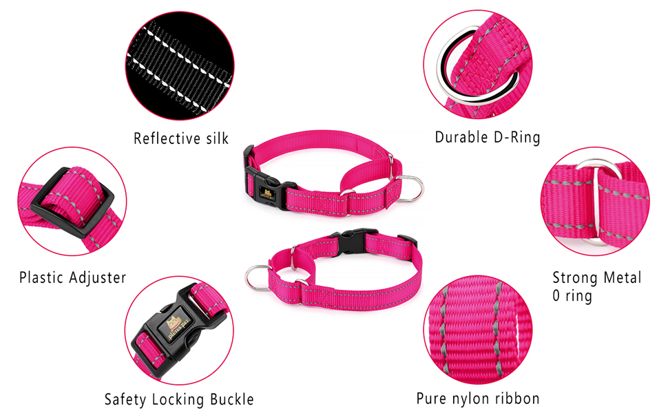 PLUTUS PET Reflective Martingale Collar with Quick Snap