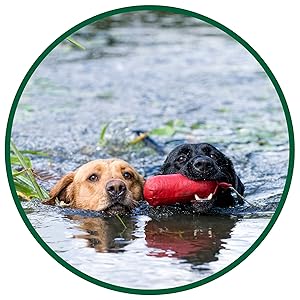 Walter Products DRIED Sprats Dog Treats 1kg – 100% Natural, Dried Fish Treats – High in Omega 3 – Grain-Free and Hypoallergenic BARF diet 10 hypoallergenic dog treats fish