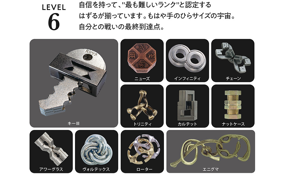 Amazon | ハナヤマ(HANAYAMA) はずすパズル はずる CAST NUTCASE
