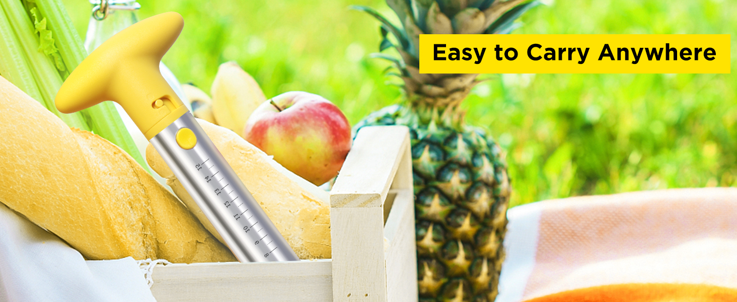 Pineapple Cutter