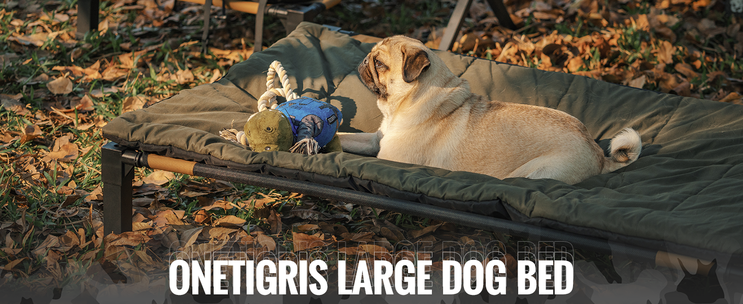 Large elevated dog bed with green canvas surface. Dog lounging on bed with chew toy. Text at bottom reads 'ONETIGRIS LARGE DOG BED'. Autumn leaves surround the scene.