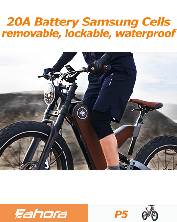ebike