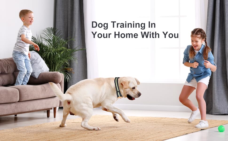 Patpet Shock Collar for DogsRechargeable Dog Training Collar with