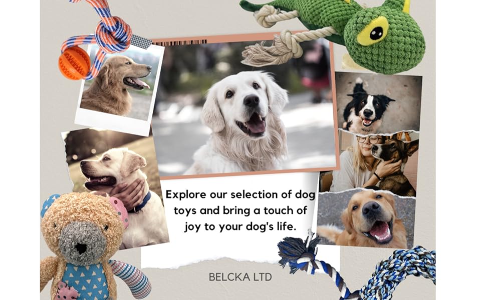 belcka toys