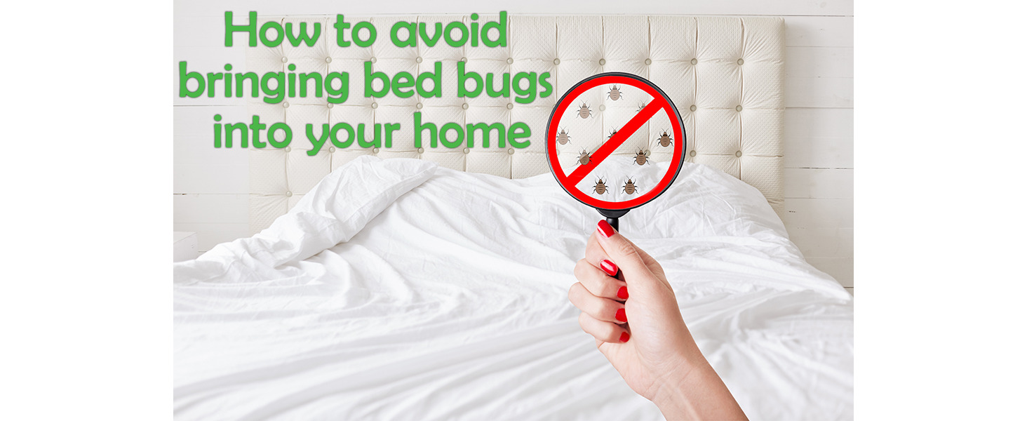 Xterminate Bed Bug Killer Spray 1L, Used By Professionals, For Home Use