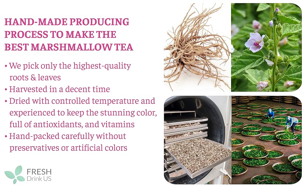 marshmallow root leaves leaf natural herbal tea teabags