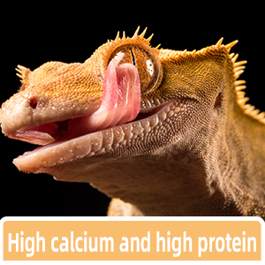 Hight calcium and protein