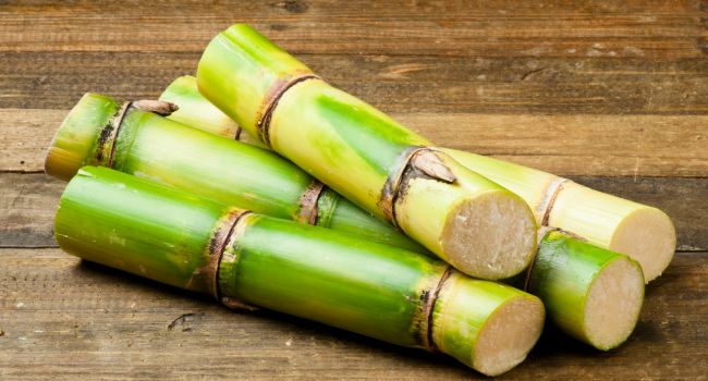 Gambi di canna da zucchero freschi su una superficie di legno. Canne a strisce verdi e gialle tagliate in sezioni, che mostrano la naturale struttura segmentata