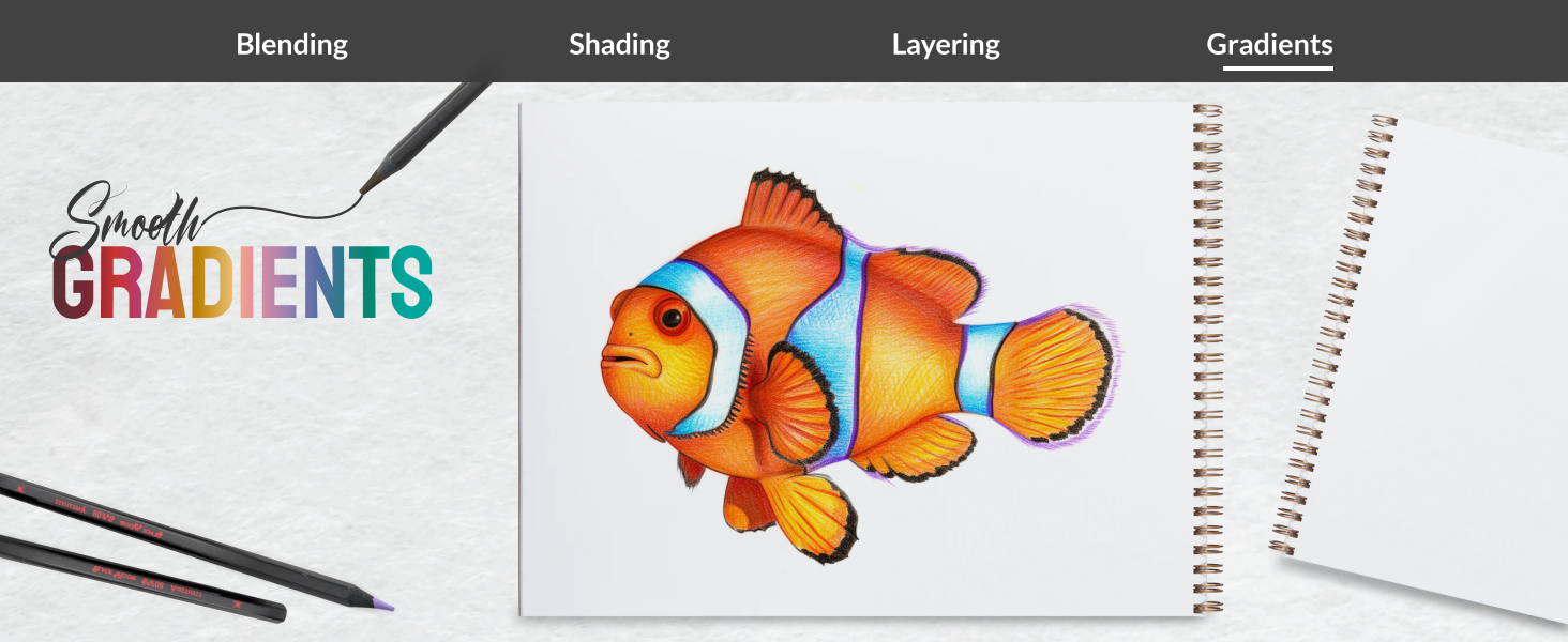 black widow spider color pencils gradients