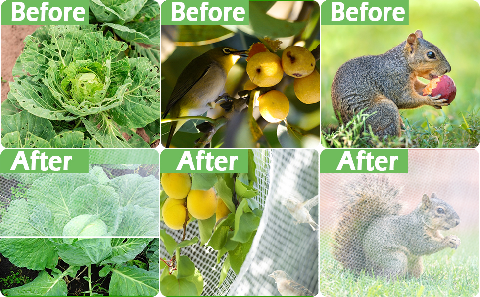 Produktbild von 19x20m Gartennetze Gemu00fcsenetz,Gemu00fcse Schutznetz