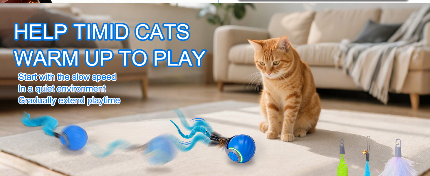 Interactive Cat Toy Ball