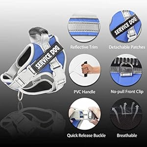 Reflectidve Trim, Detachable Patches, Pvc Handle