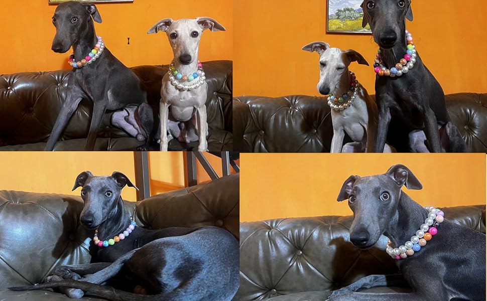 dress up, attire, wardrobe, photography, portrait, modeling.