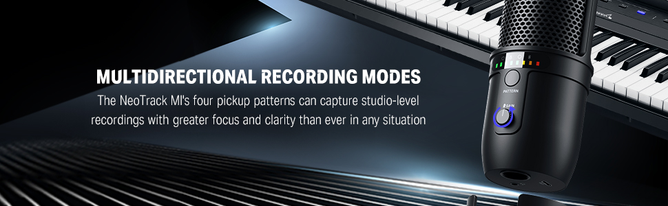 multidirectional mic