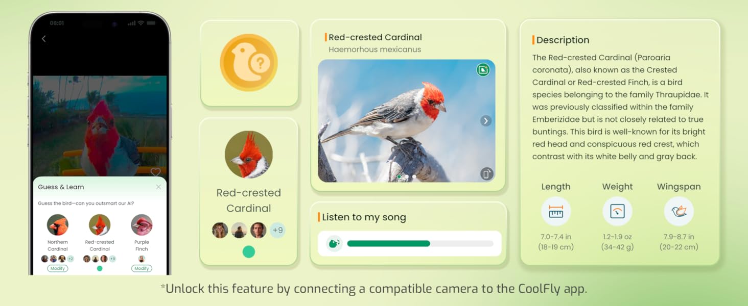 solar bird feeder with camera