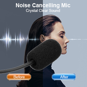 Noise Cancelling Microphone