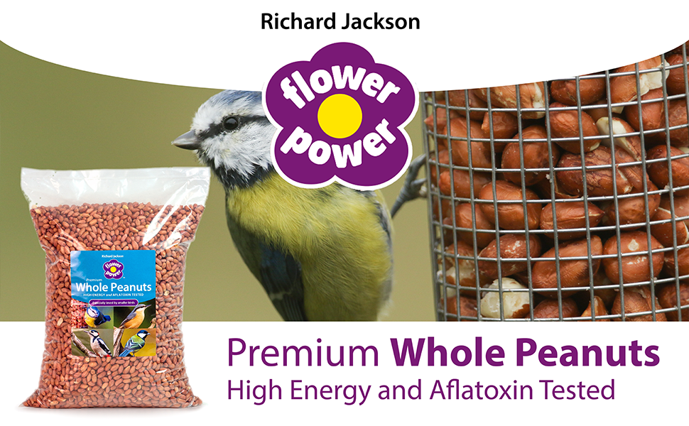 Richard Jackson Premium Whole Peanuts for Birds, Natural Wild Bird Feed