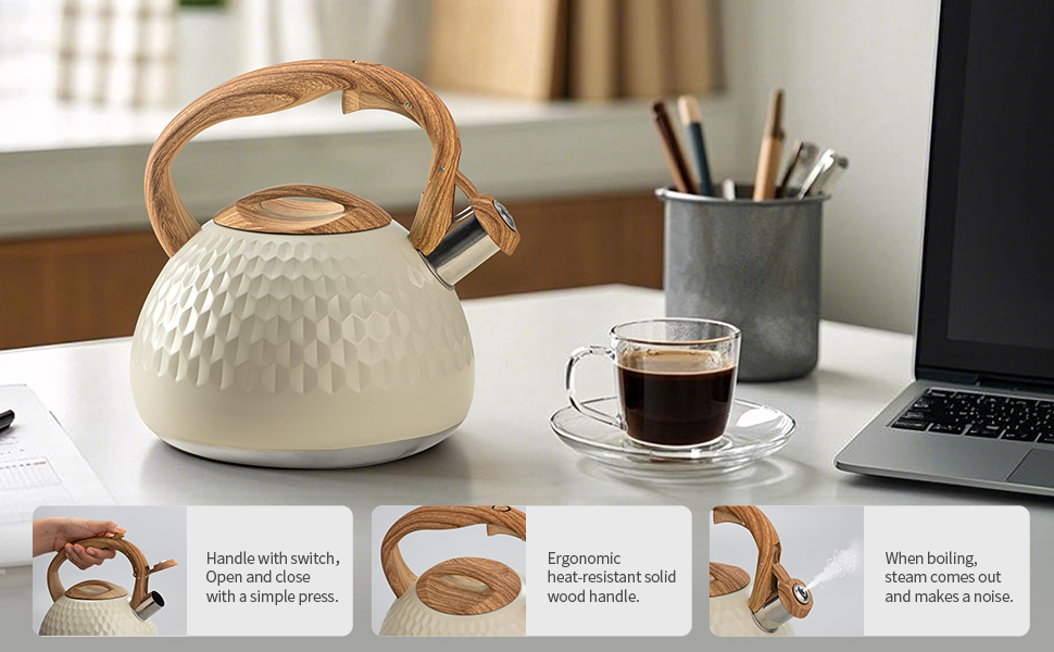 teapot for stovetop