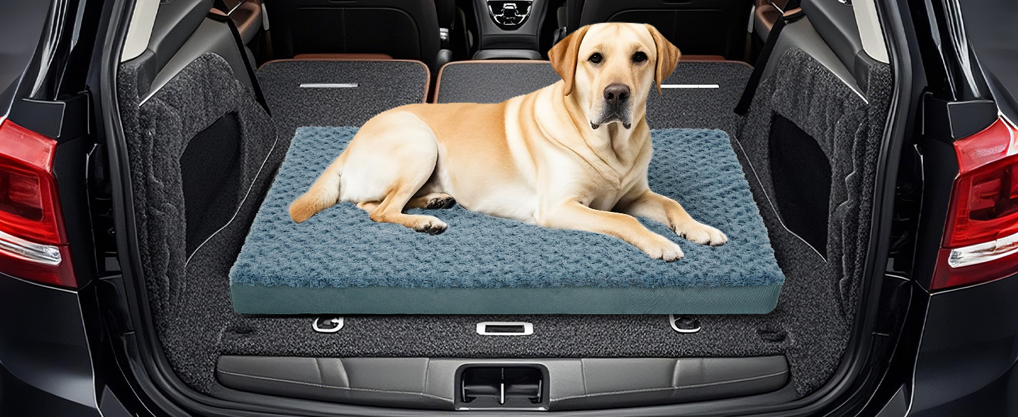 Orthopedic Dog Beds