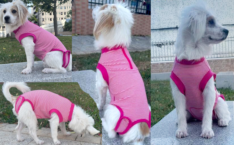 Wabdhaly Female Dog Recovery Suit Pink Large,Spay Suit