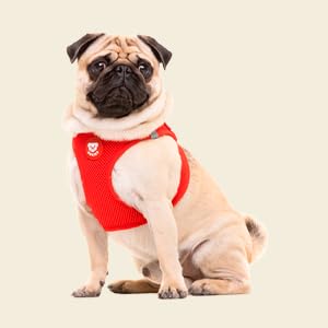 DUKIER - Dog Body Harness, Anti-Pull Body Vest, Adjustable and Heavy Duty for Pets, Breathable Mesh, Pet Accessory with Velcro and Double Closure, Purple, XS 21 1