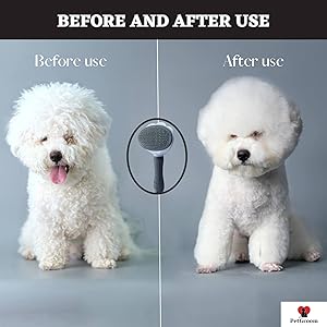 cat dog brush