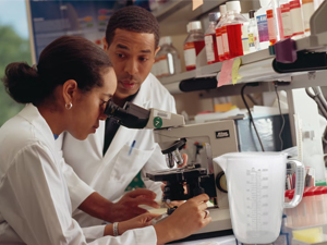 Small manufacture image 6