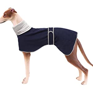 Greyhound jackets for sale Clearance