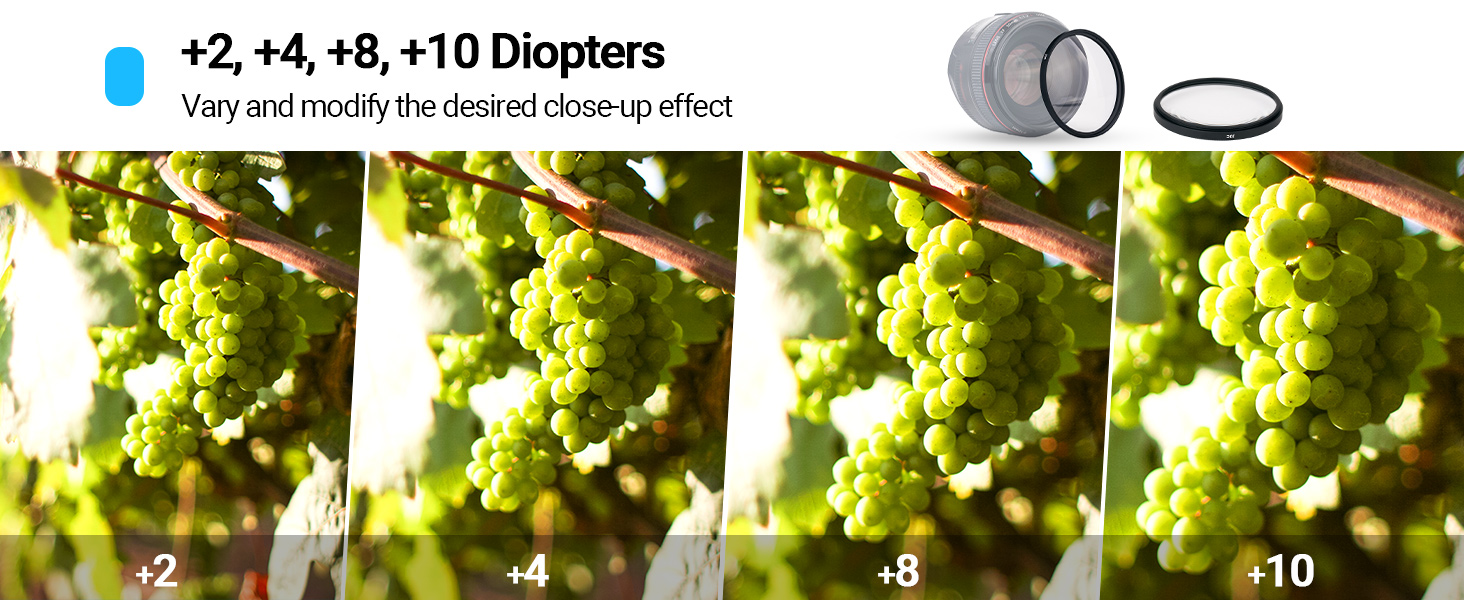 Macro Filter