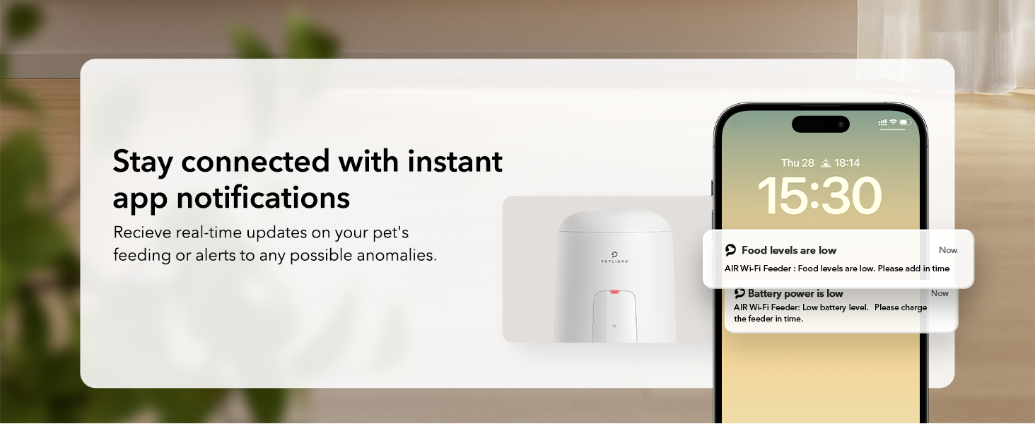 comedero para perros