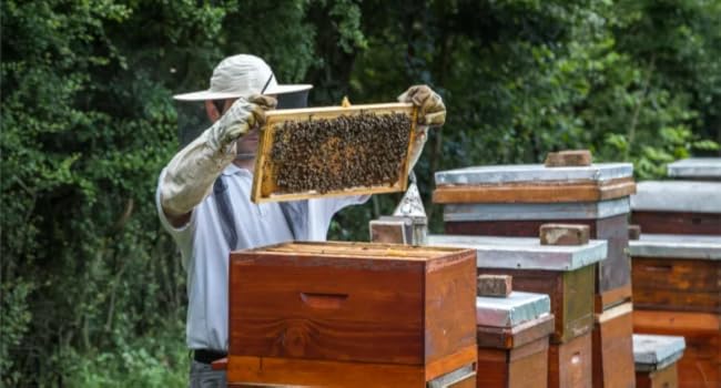 Large manufacture image 3