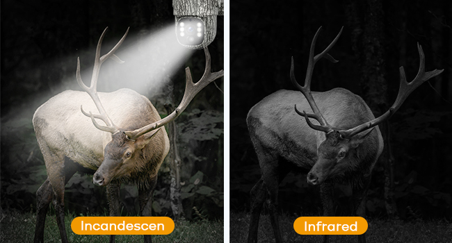 trail camera game camera cellular 4G solar wireless hunting sends picture