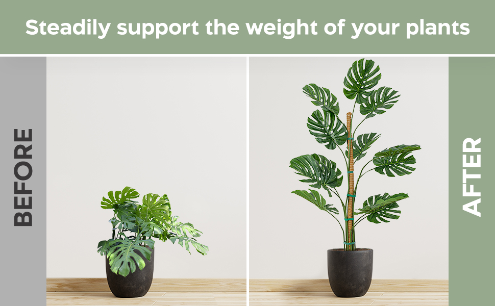 KBrands 2 Pack Moss Pole 46'' Monstera Plant Support