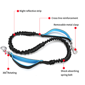 multi-function dog leash
