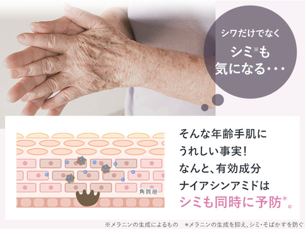 Amazon.co.jp: 北の快適工房 ピンテ : ビューティー