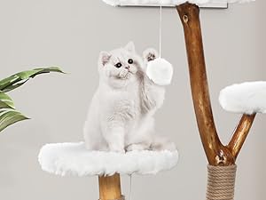 white cat tree