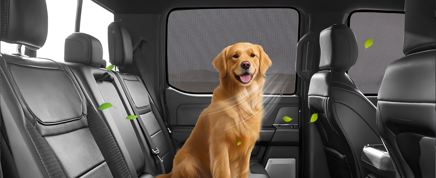 F150 window shades