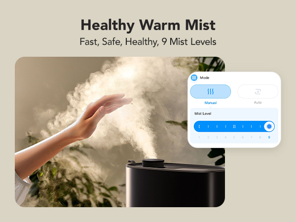 Healthy Warm Mist
