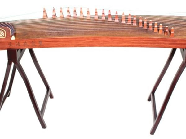 Amazon.com: Dunhuang Entry Level Night Rain on a Plantain