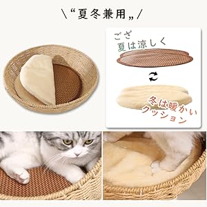 木陰の猫 キャットツリー猫のなる木がある幸せ【Amazon専売】 | 猫壱
