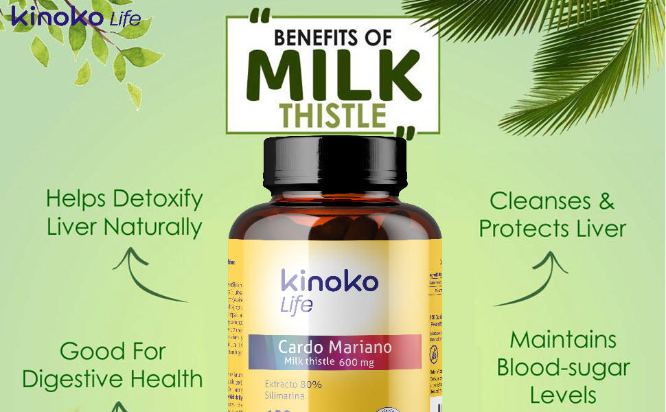 MARIENDISTEL 600 mg pro VEGAN Kapsel | 80% Silymarin-Extrakt | Ohne Magnesiumstearat | 