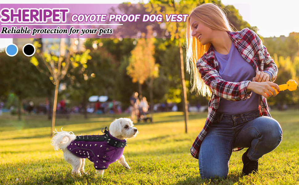 Sheripet Coyote Proof Dog Vest Harness, Anti Hawk Vest Hawk Deterrent with Spikes