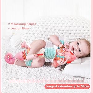 Baby Height Measurements