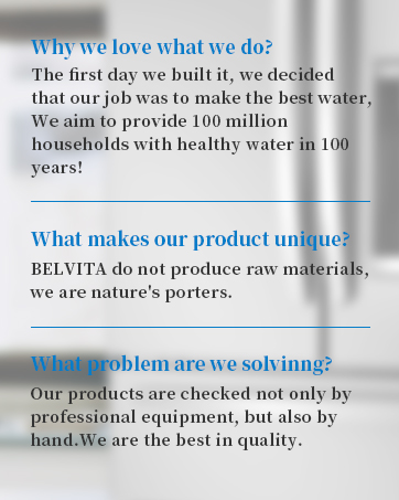 WATER FILTER BELVITA