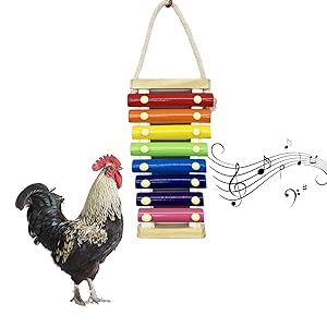 Chicken Xylophone Toy