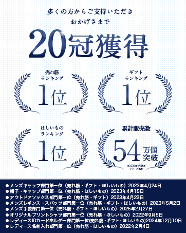 投票