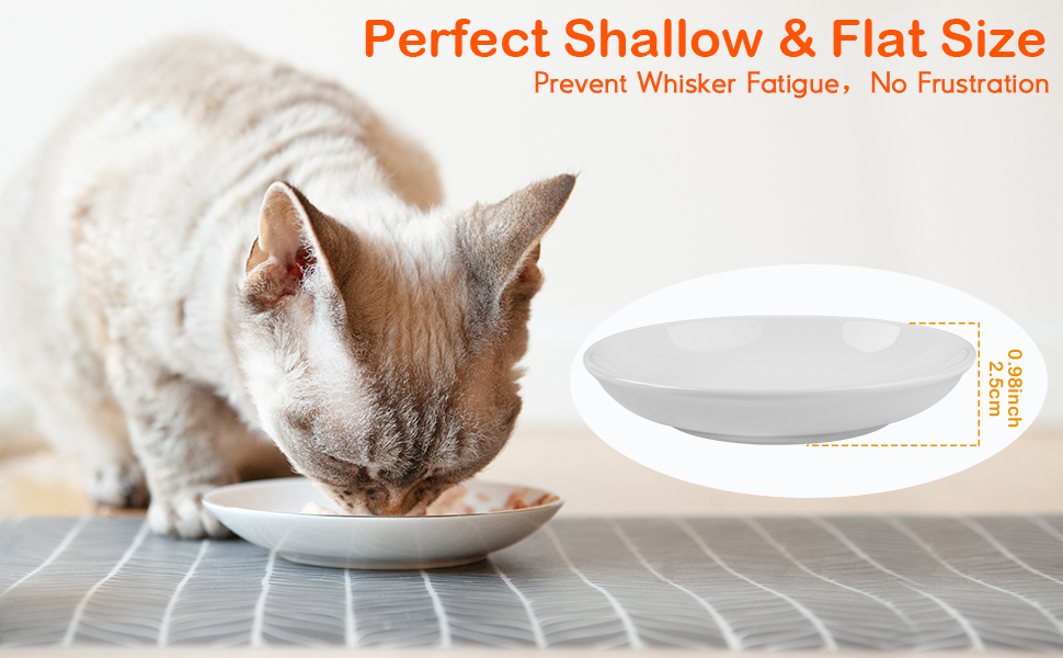 𝟮𝟬𝟮𝟯 𝐍𝐄𝐖 Anti Whisker Fatigue Cat Bowls Set, Healthy Ceramic Cute Flat