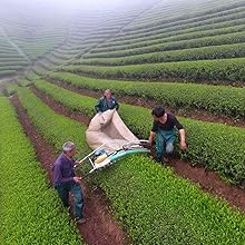 Small manufacture image 2