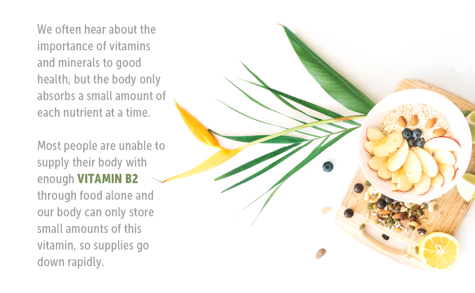 Vitamin B-2 Riboflavin energy Vitamin B2 Vitamin-b mg supplement nature daily head relief
