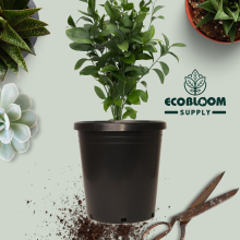 5-gallon recycled plastic plant pots